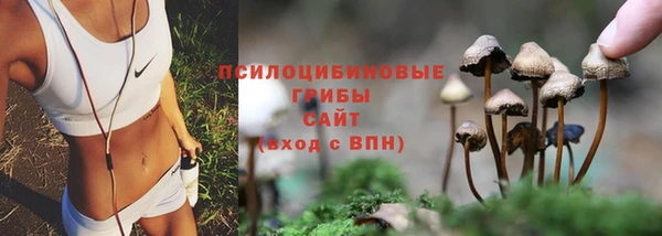 spice Богданович
