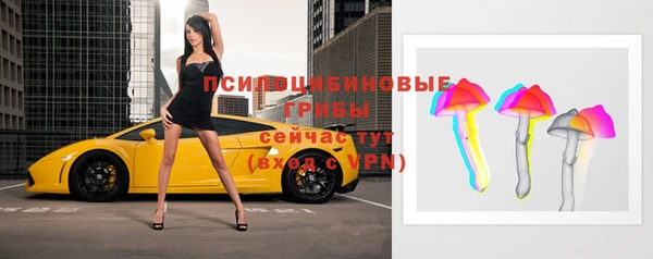 прущие грибы Бугульма