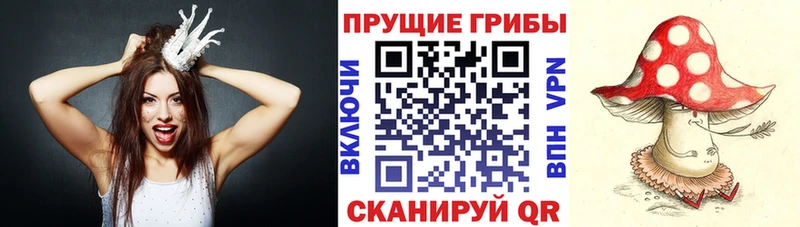 кракен как зайти  Городовиковск  Галлюциногенные грибы MAGIC MUSHROOMS 